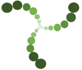 frederic-deblois-formation